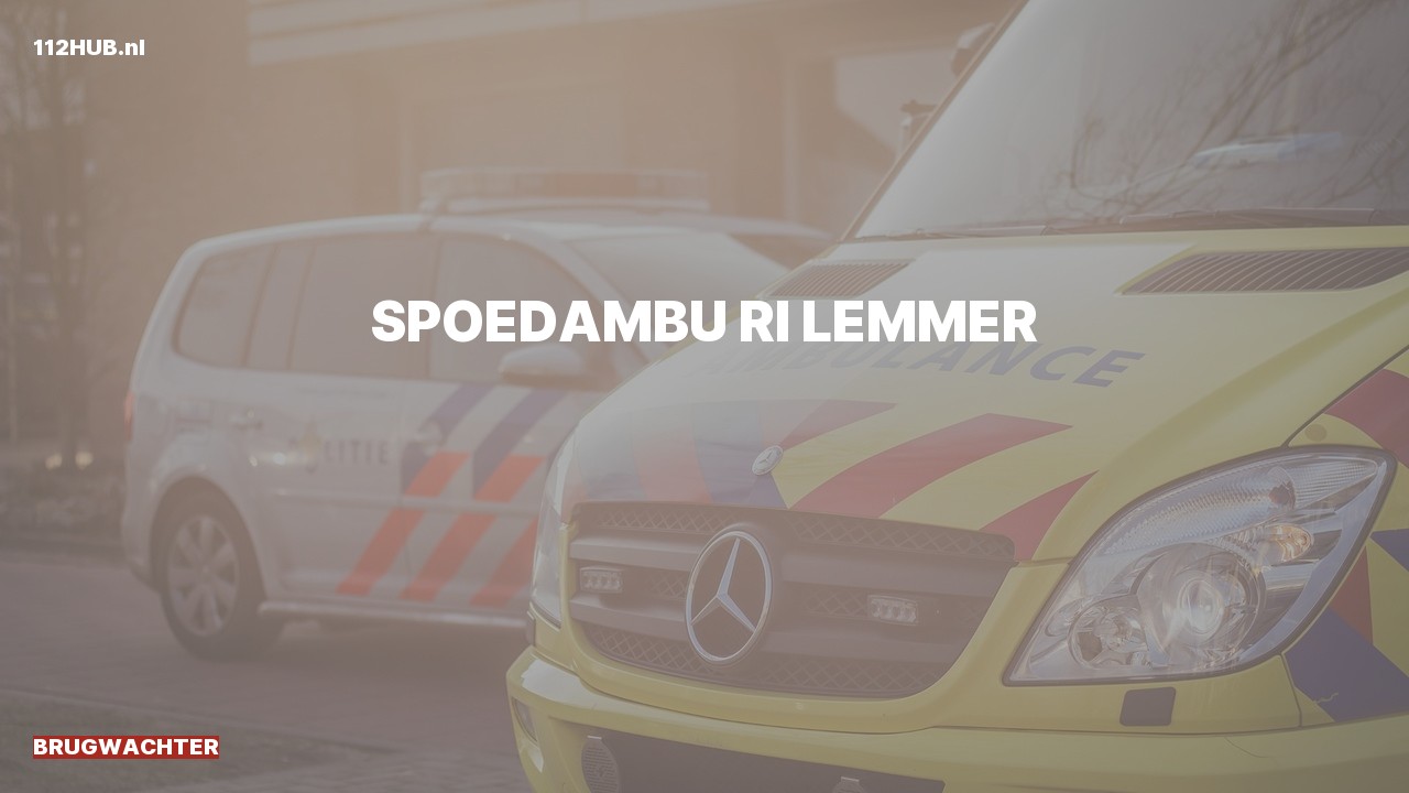 Deelafbeelding voor Brugwachter spoed ambulance.
