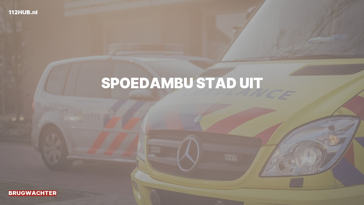 Deelafbeelding voor Brugwachter spoed ambulance.