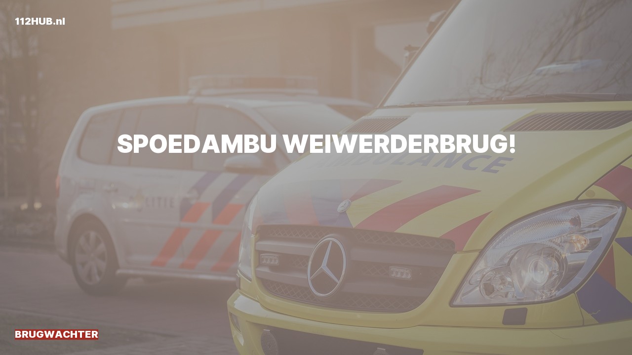 Deelafbeelding voor Brugwachter spoed ambulance.