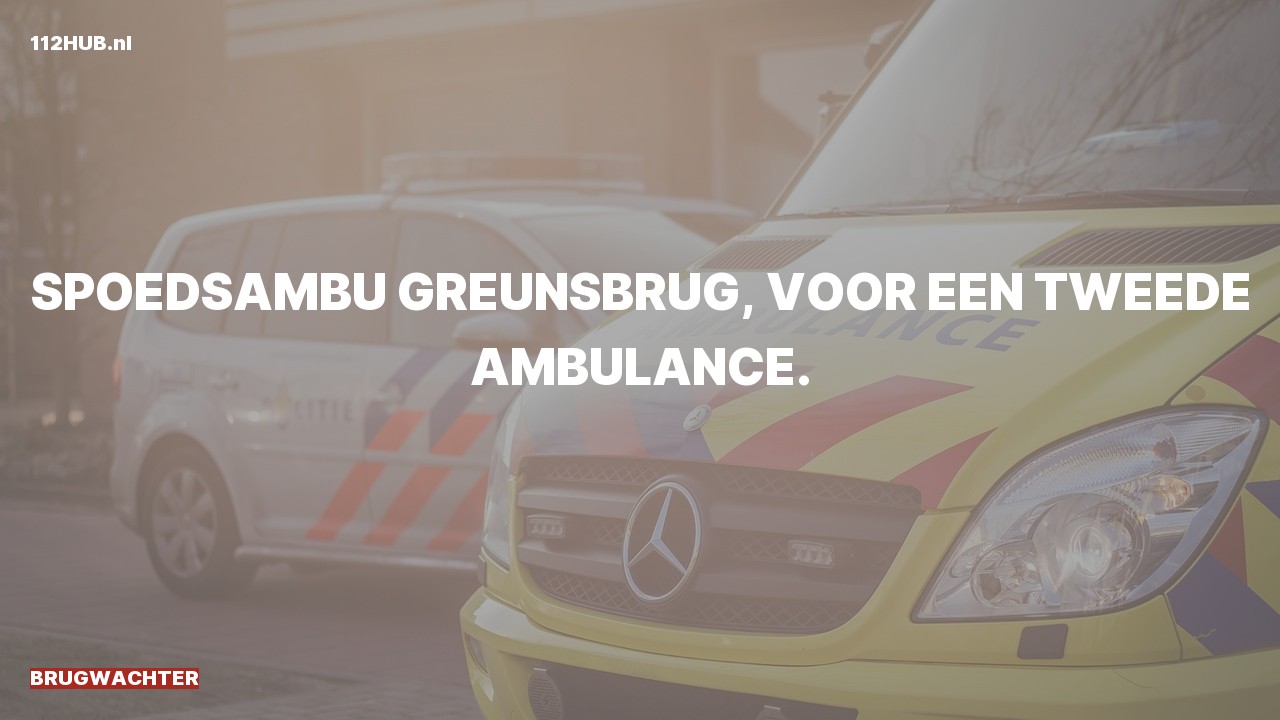 Deelafbeelding voor Brugwachter.