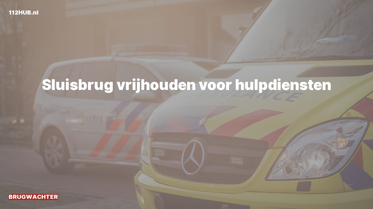 Deelafbeelding voor Brugwachter.