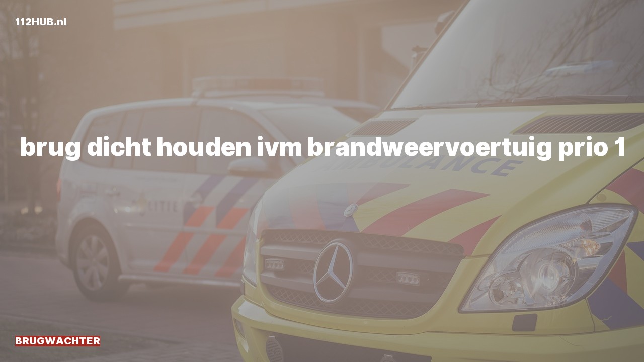 Deelafbeelding voor Brugwachter met spoed.