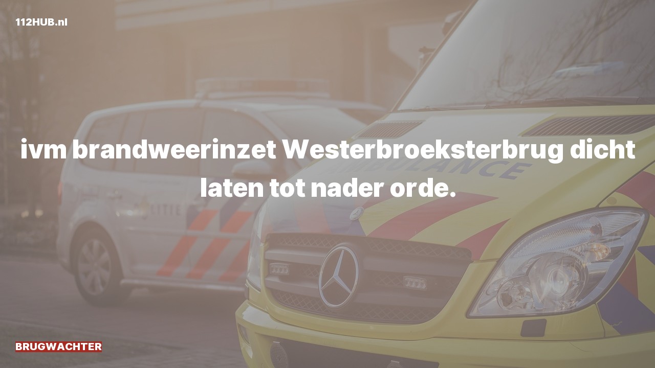 Deelafbeelding voor Brugwachter.