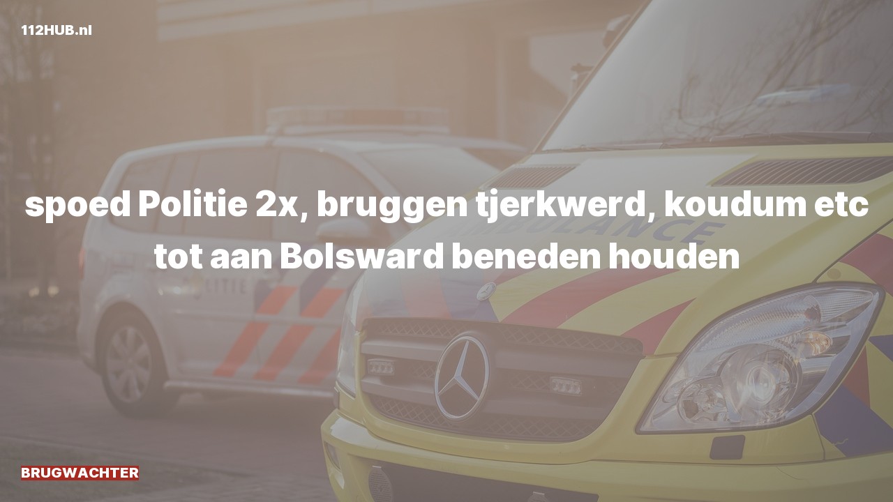 Deelafbeelding voor Brugwachter.