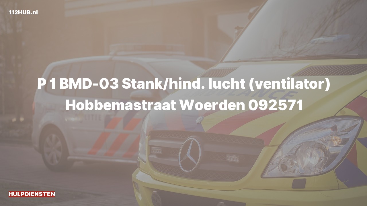 Deelafbeelding voor Hulpdiensten zijn uitgerukt voor stank of gaslucht