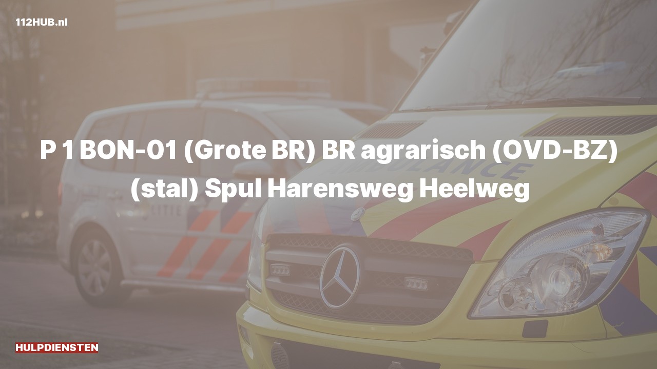 Deelafbeelding voor Hulpdiensten zijn uitgerukt voor een brand