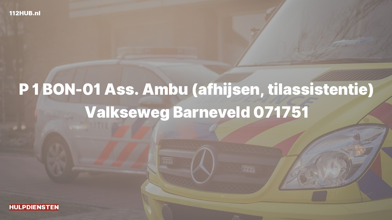 Deelafbeelding voor Hulpdiensten zijn uitgerukt voor afhijsen