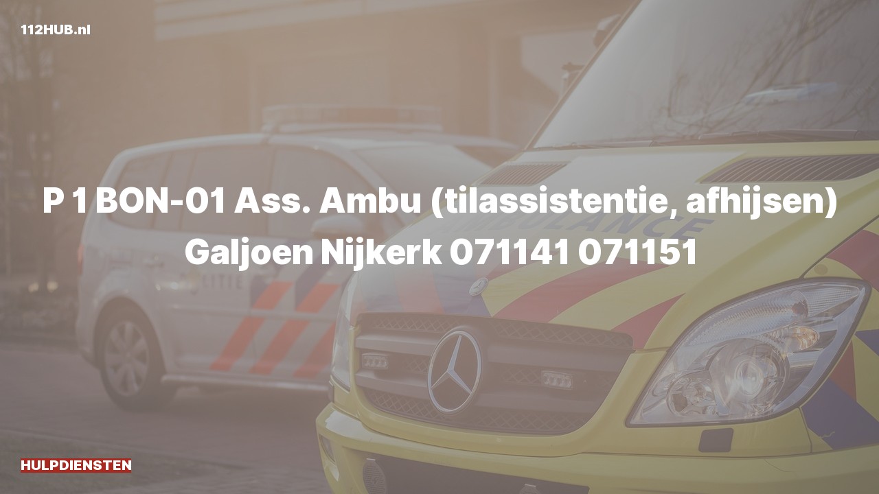 Deelafbeelding voor Hulpdiensten zijn uitgerukt voor afhijsen