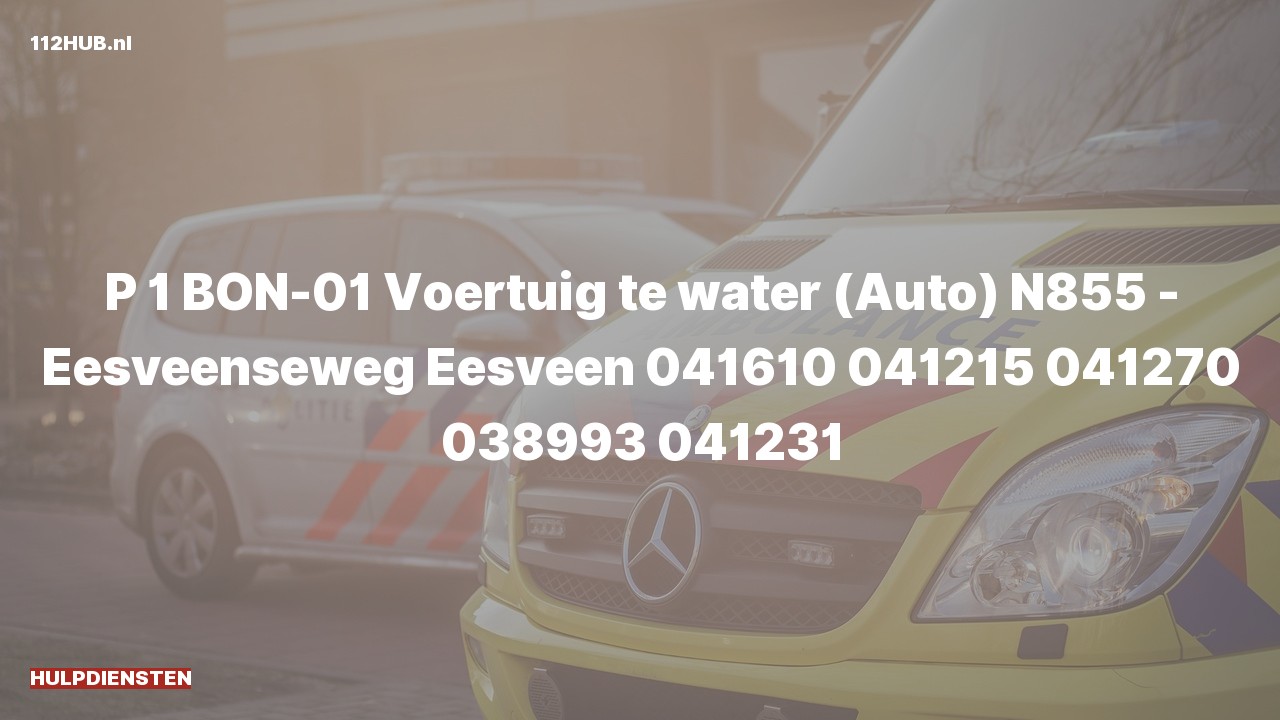 Deelafbeelding voor Hulpdiensten zijn uitgerukt voor een persoon te water