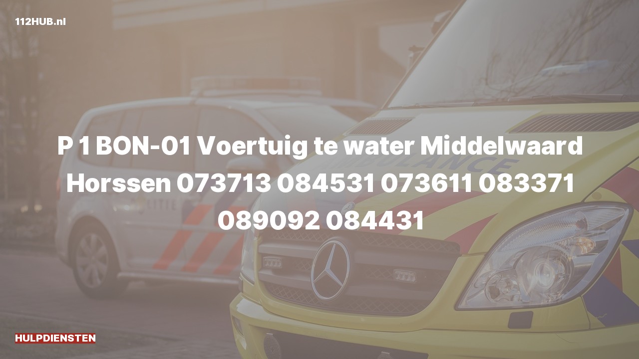Deelafbeelding voor Hulpdiensten zijn uitgerukt voor een persoon te water
