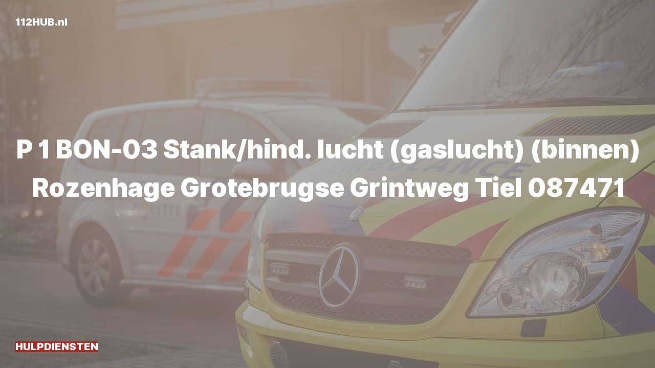 Deelafbeelding voor Hulpdiensten zijn uitgerukt voor gaslucht binnen