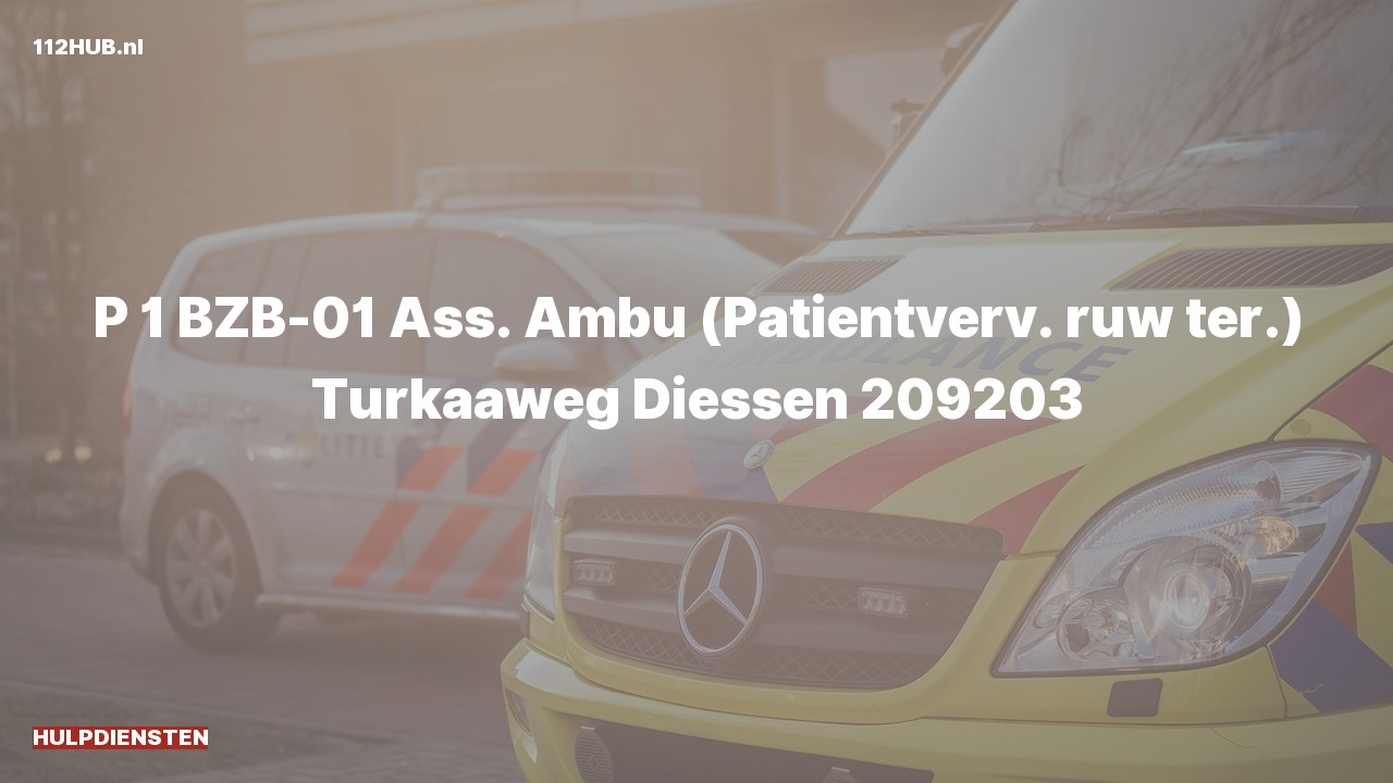 Deelafbeelding voor Hulpdiensten zijn uitgerukt voor ambulance-assistentie