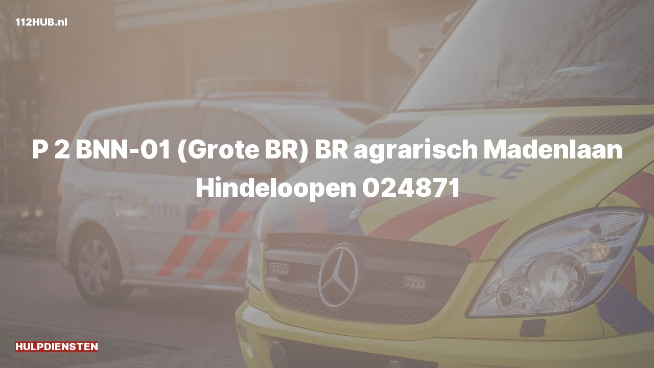 Deelafbeelding voor Hulpdiensten zijn uitgerukt voor een brand