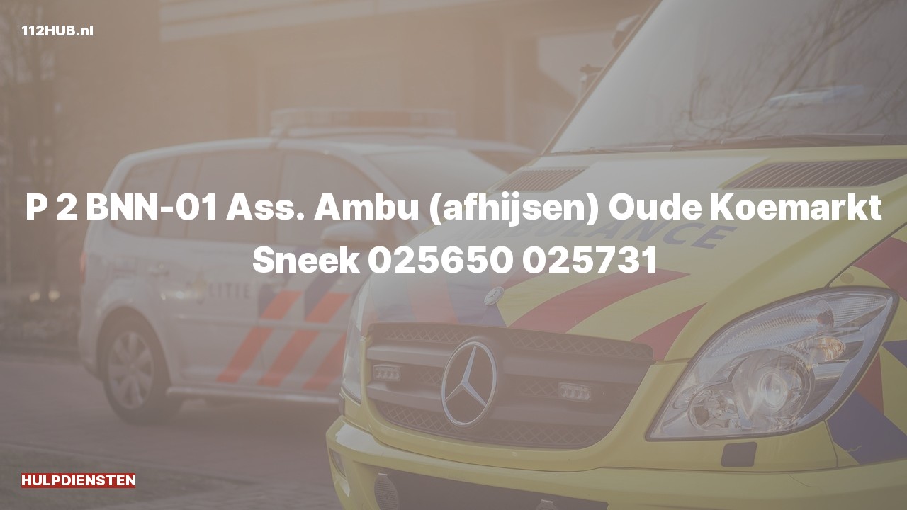 Deelafbeelding voor Hulpdiensten zijn uitgerukt voor afhijsen