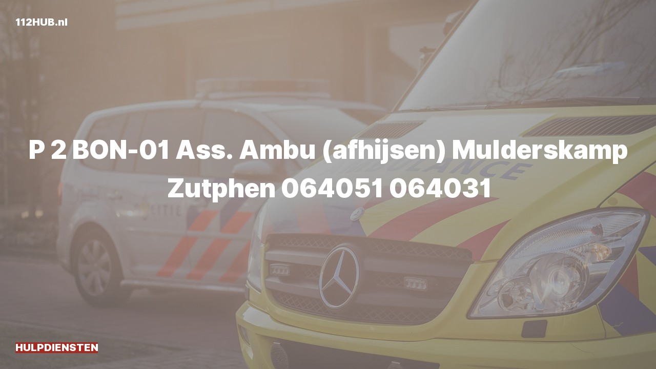 Deelafbeelding voor Hulpdiensten zijn uitgerukt voor afhijsen