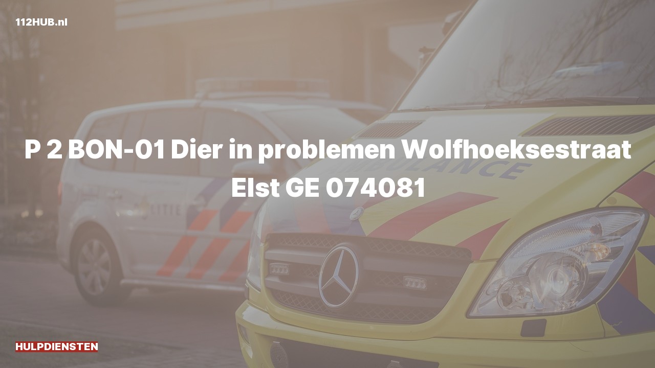 Deelafbeelding voor Hulpdiensten zijn uitgerukt