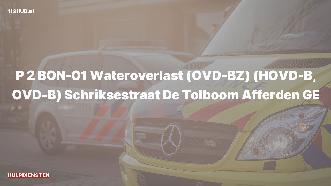 Deelafbeelding voor Hulpdiensten zijn uitgerukt
