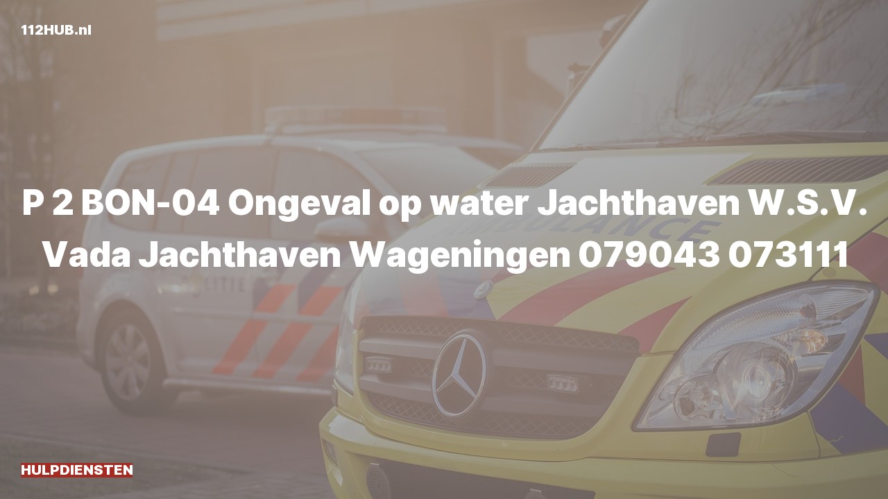Deelafbeelding voor Hulpdiensten zijn uitgerukt voor een ongeval