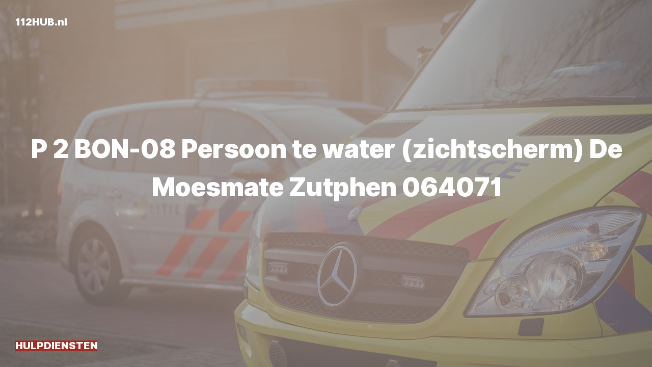 Deelafbeelding voor Hulpdiensten zijn uitgerukt voor een persoon te water
