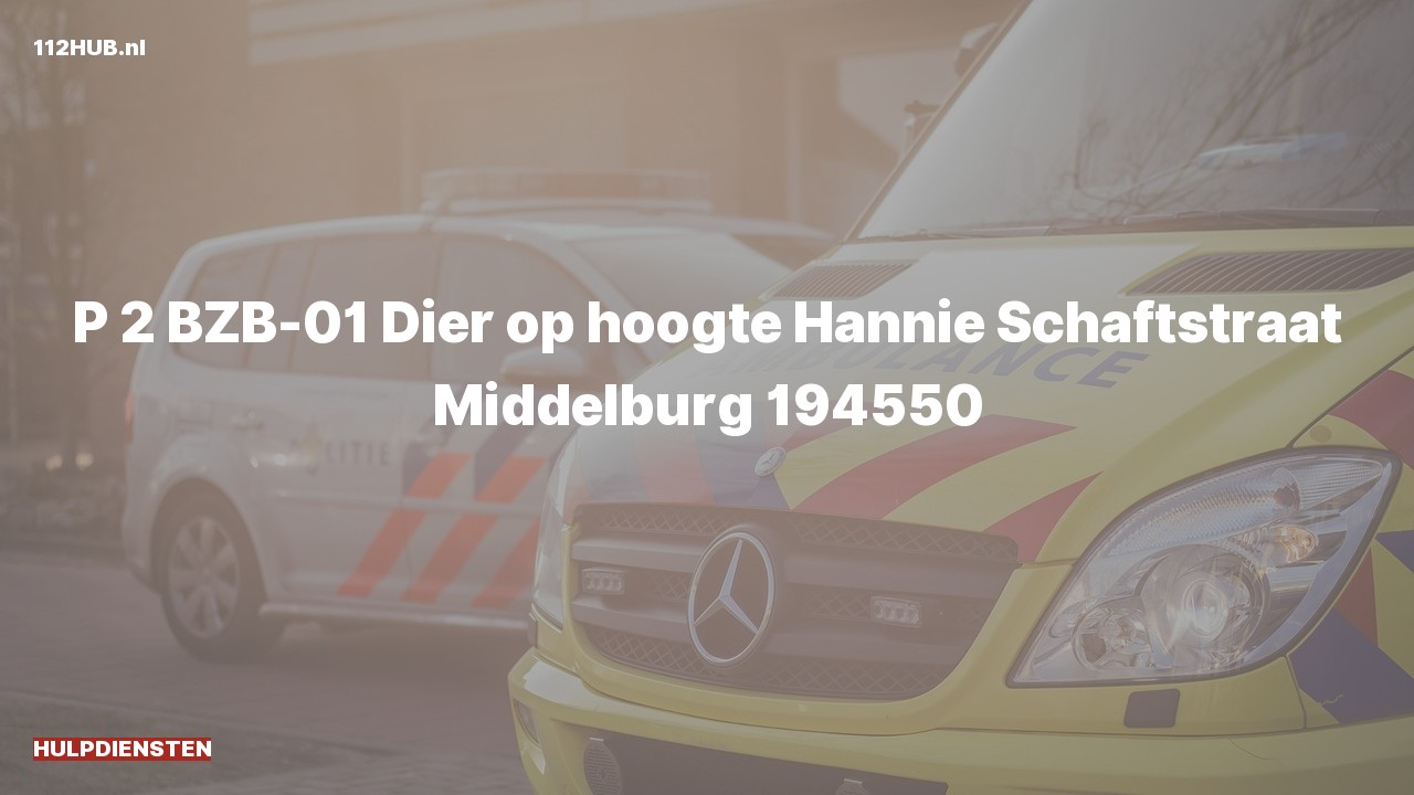 Deelafbeelding voor Hulpdiensten zijn uitgerukt