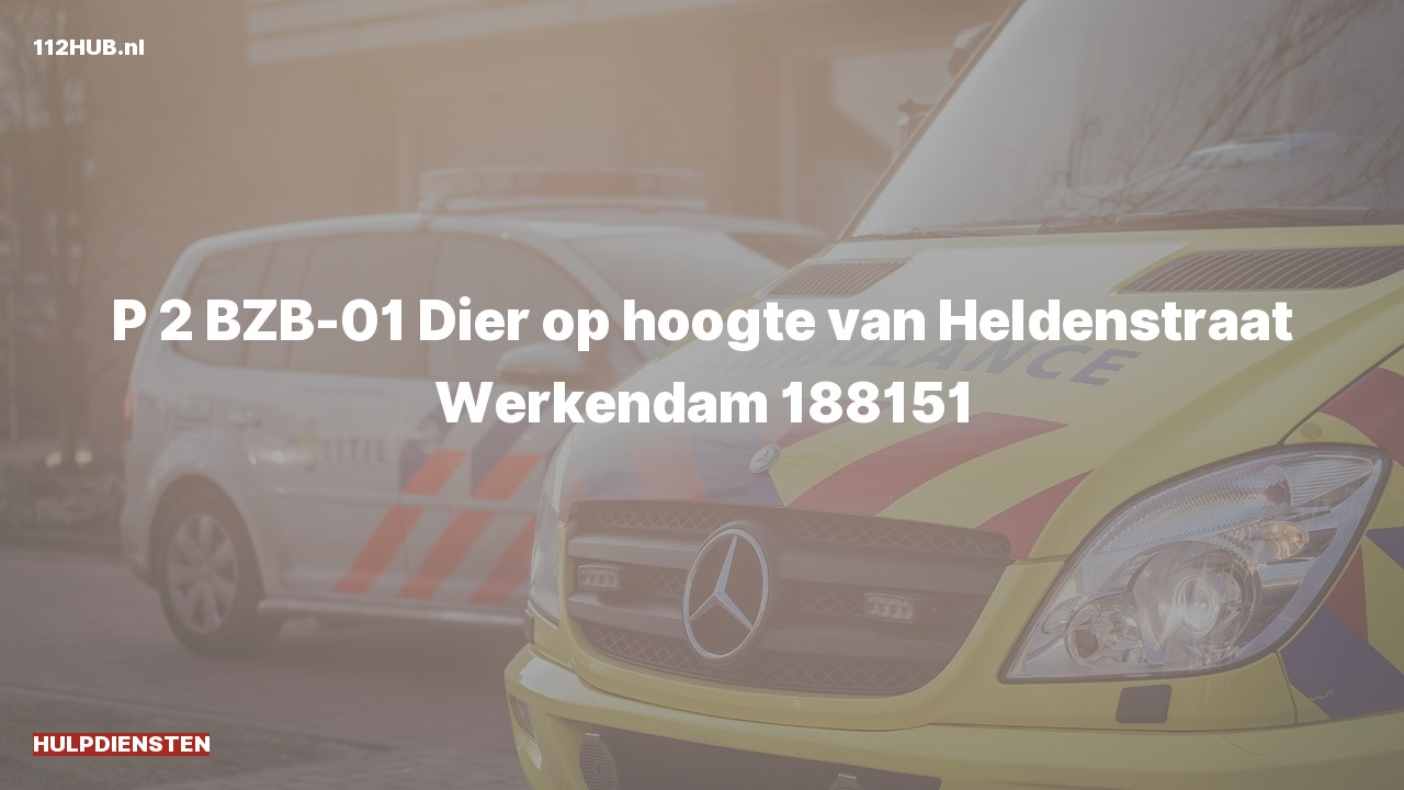 Deelafbeelding voor Hulpdiensten zijn uitgerukt