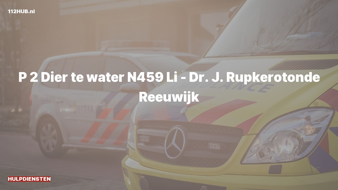 Deelafbeelding voor Hulpdiensten zijn uitgerukt voor een persoon te water