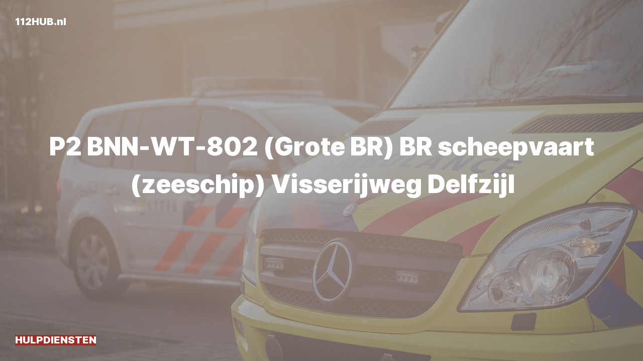 Deelafbeelding voor Hulpdiensten zijn uitgerukt voor een brand