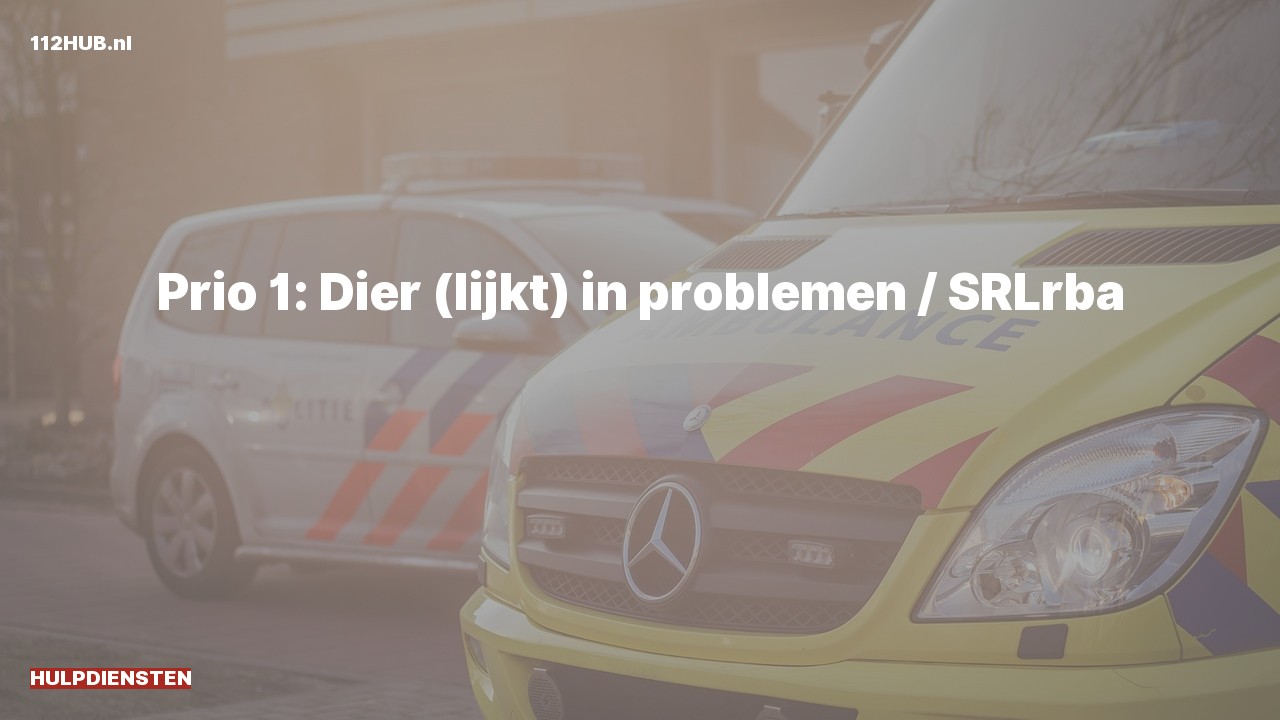 Deelafbeelding voor Met spoed.
