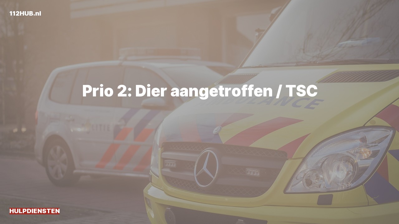 Deelafbeelding voor P2000-melding.