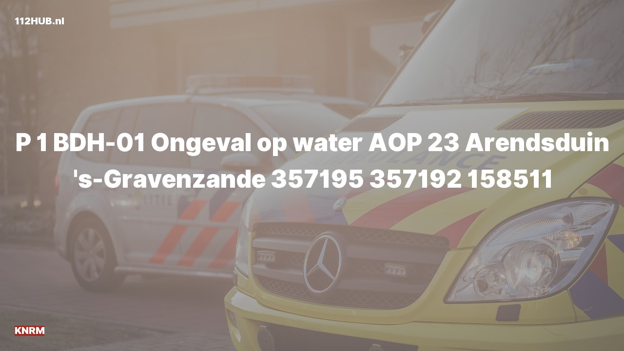 Deelafbeelding voor KNRM met spoed naar de Arendsduin in 's-Gravenzande.
