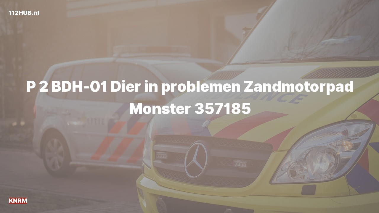 Deelafbeelding voor P2000-melding.