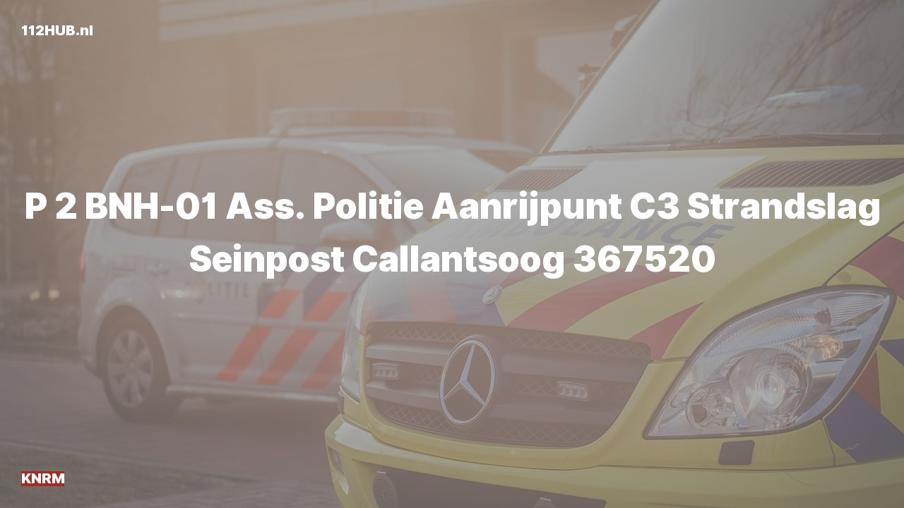 Deelafbeelding voor KNRM met gepaste spoed naar de Strandslag Seinpost in Callantsoog.