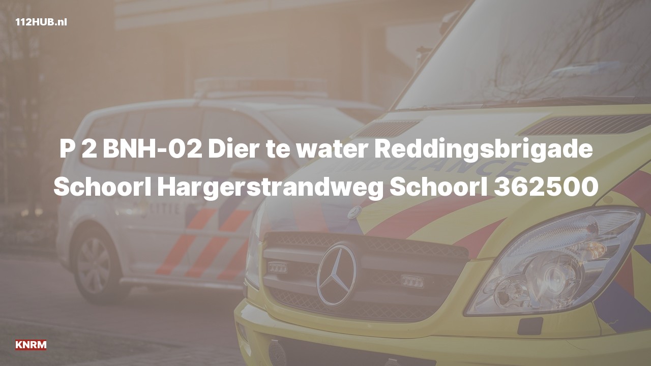 Deelafbeelding voor KNRM met gepaste spoed naar de Hargerstrandweg in Schoorl.