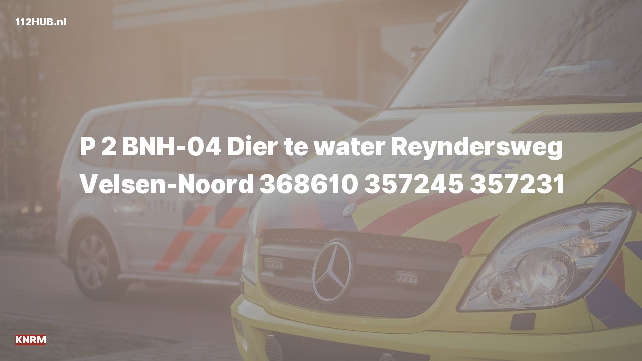 Deelafbeelding voor KNRM met gepaste spoed naar de Reyndersweg in Velsen-Noord.