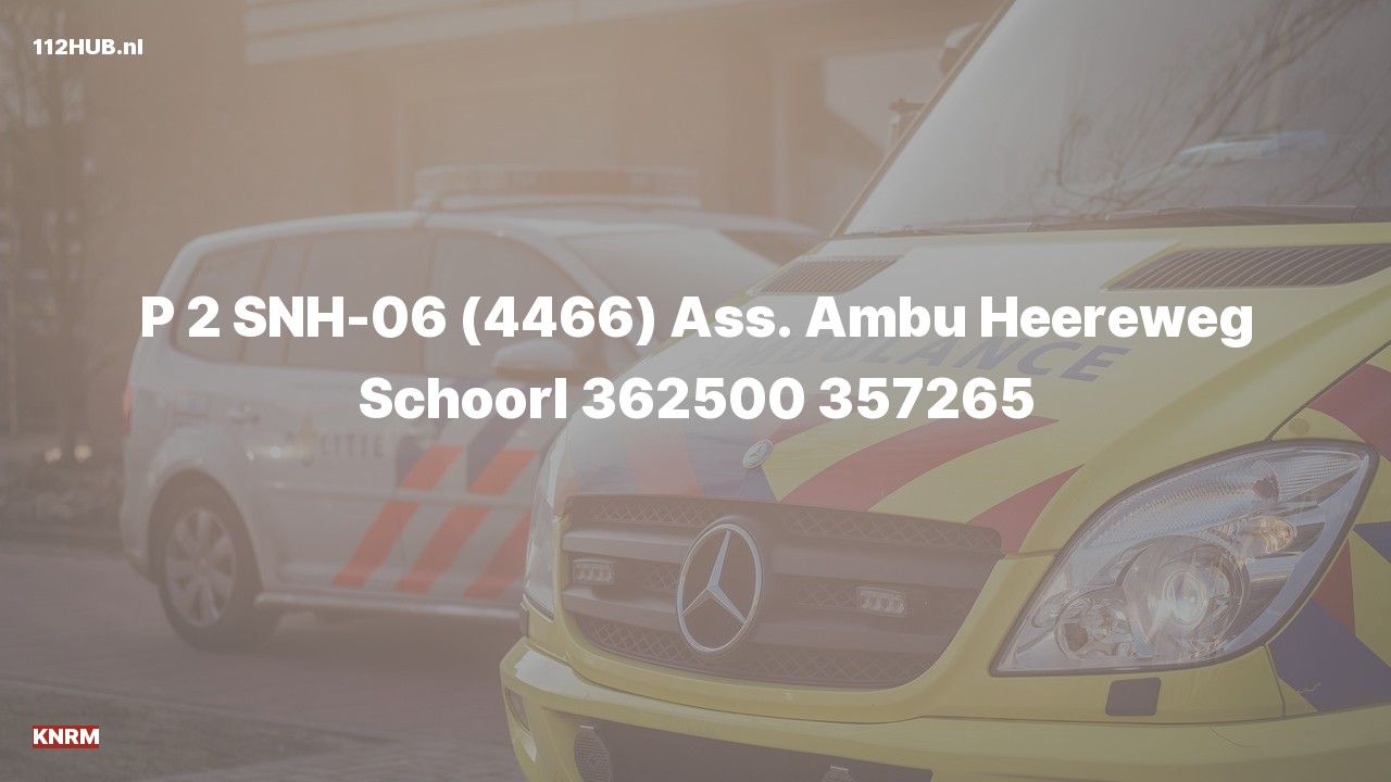 Deelafbeelding voor P2000-melding voor ambulance-assistentie.