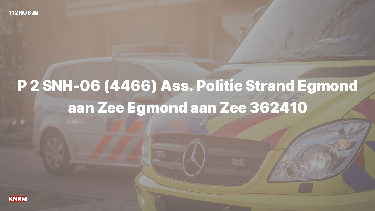 Deelafbeelding voor KNRM met gepaste spoed naar de Strand Egmond aan Zee in Egmond aan Zee.