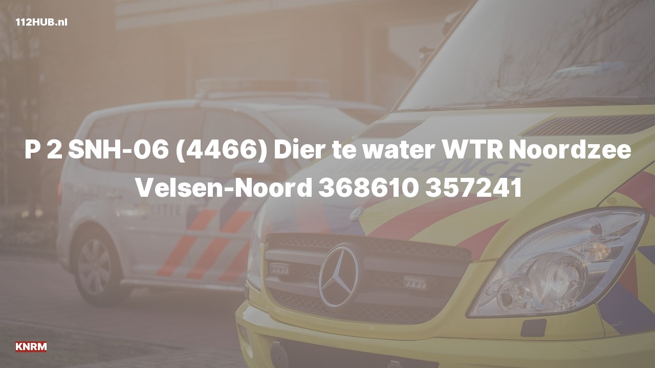 Deelafbeelding voor De KNRM is met gepaste spoed uitgerukt voor een persoon te water