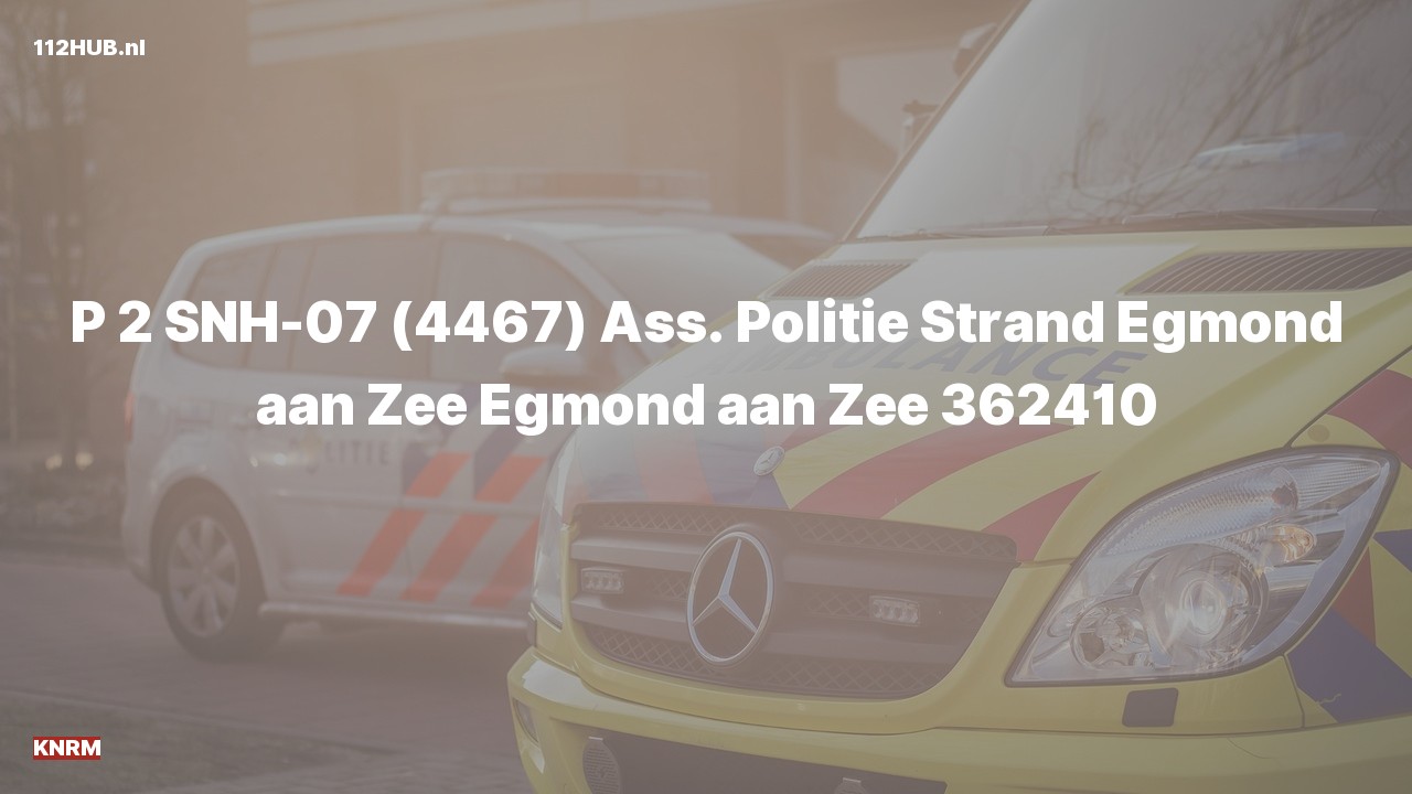 Deelafbeelding voor KNRM met gepaste spoed naar de Strand Egmond aan Zee in Egmond aan Zee.