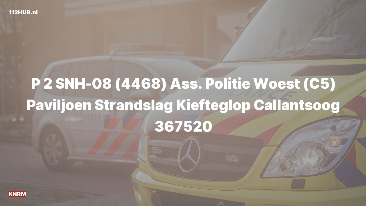 Deelafbeelding voor KNRM met gepaste spoed naar de Strandslag Kiefteglop in Callantsoog.