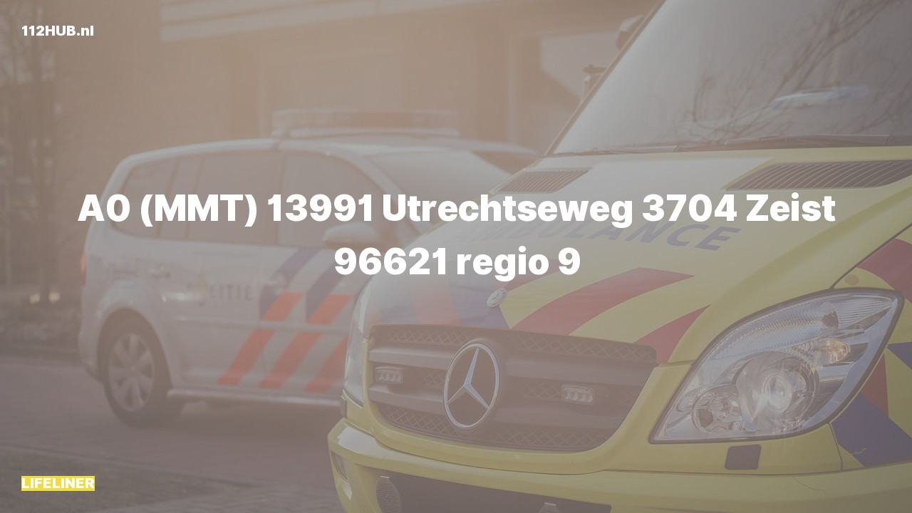 Deelafbeelding voor De traumahelikopter is met spoed uitgerukt naar de Utrechtseweg in Zeist