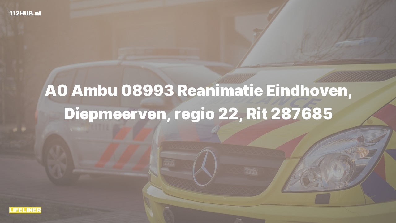 Deelafbeelding voor De traumahelikopter is met spoed uitgerukt voor een reanimatie naar de Diepmeerven in Eindhoven