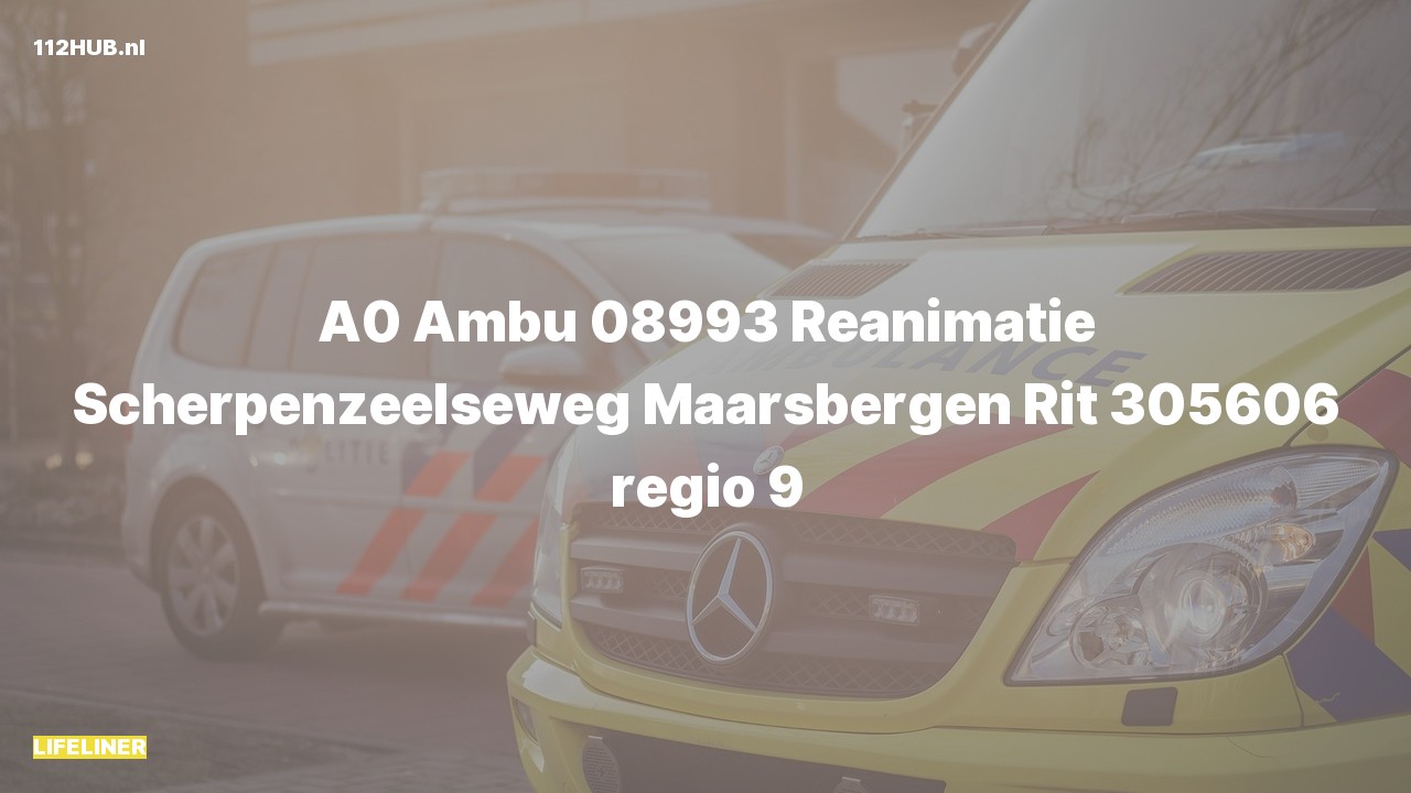 Deelafbeelding voor De traumahelikopter is met spoed uitgerukt voor een reanimatie naar de Scherpenzeelseweg in Maarsbergen
