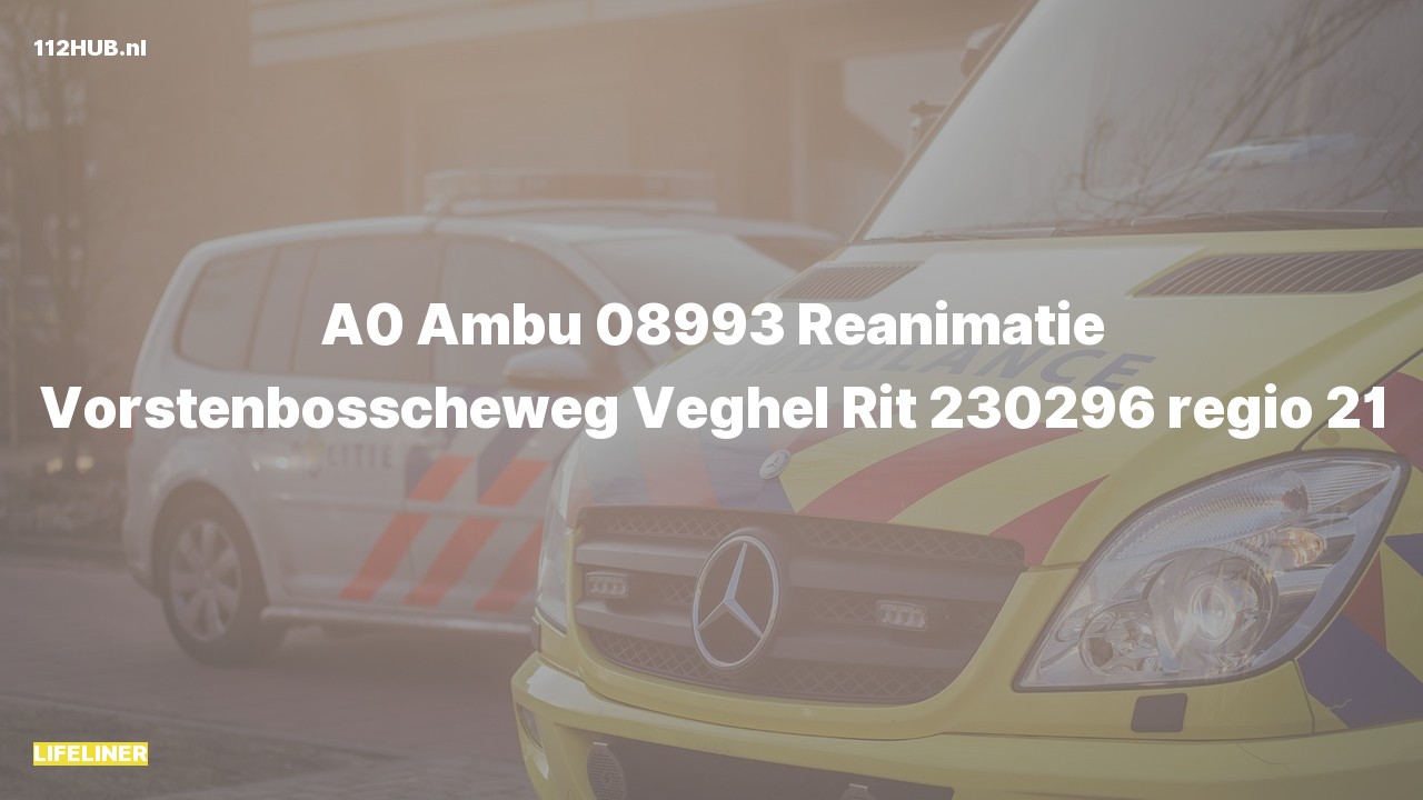 Deelafbeelding voor Traumahelikopter met spoed naar de Vorstenbosscheweg in Veghel.