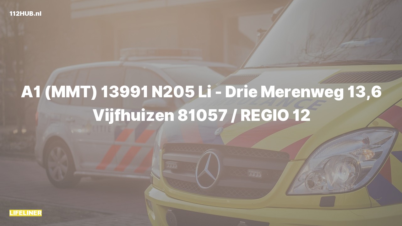 Deelafbeelding voor Traumahelikopter met spoed op de N205 bij hectometerpaaltje 13.6.