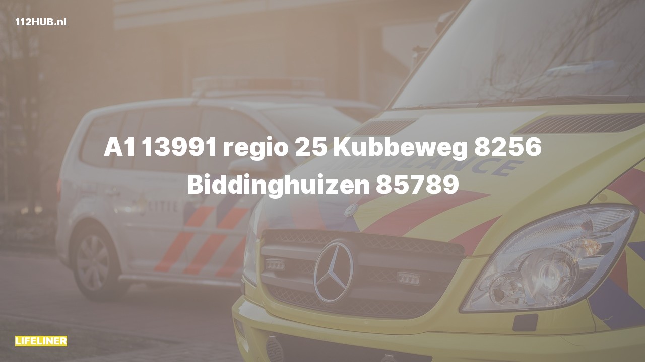 Deelafbeelding voor De traumahelikopter is met spoed uitgerukt naar de Kubbeweg in Biddinghuizen