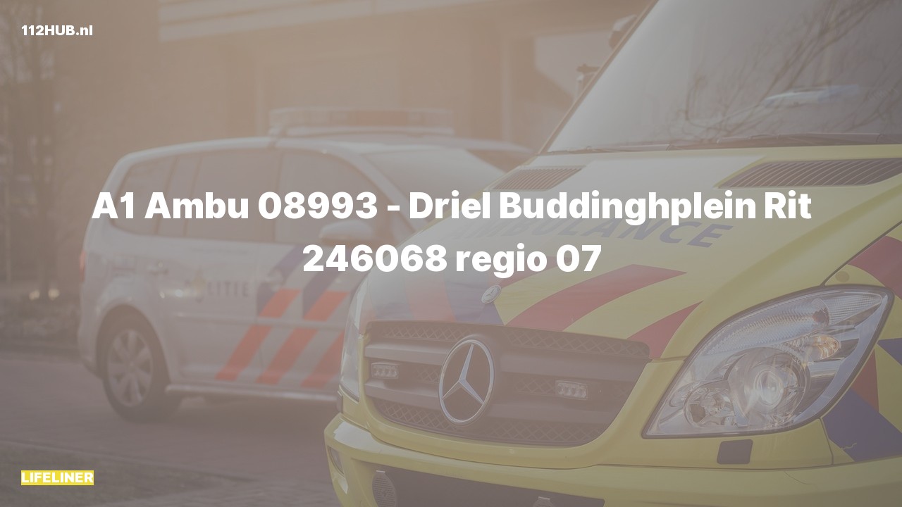 Deelafbeelding voor Traumahelikopter met spoed naar de Buddinghplein in Driel.