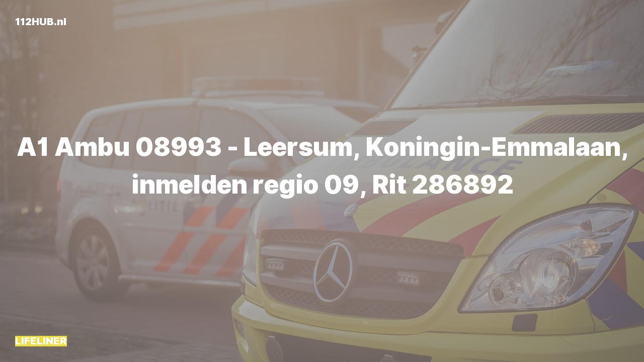Deelafbeelding voor De traumahelikopter is met spoed uitgerukt naar de Koningin-Emmalaan in Leersum