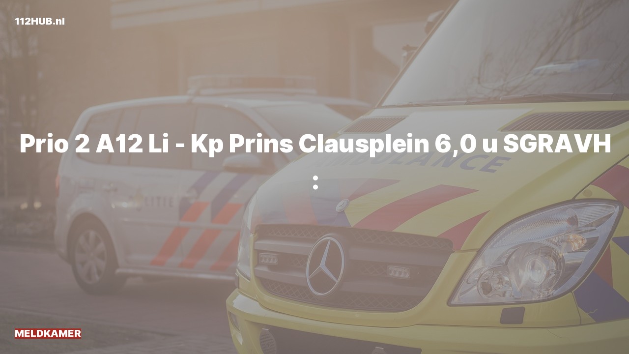 Deelafbeelding voor De Meldkamer is met gepaste spoed uitgerukt op de A12 bij hectometerpaaltje 6