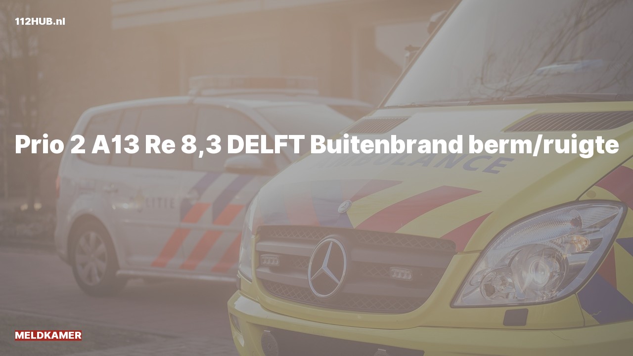 Deelafbeelding voor Meldkamer met gepaste spoed op de A13 bij hectometerpaaltje 8.3.