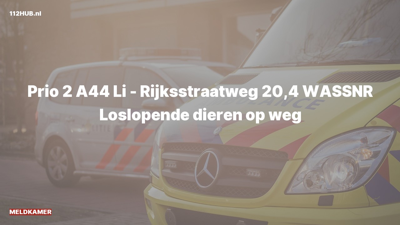 Deelafbeelding voor Meldkamer met gepaste spoed op de A44 bij hectometerpaaltje 20.4.